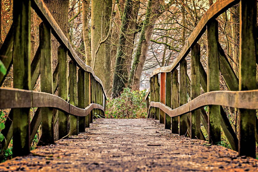 bild_ubergangsbeitrag_ab21_bild_ueb-836.jpg bild_ubergangsbeitrag_ab21_bild_ueb-836.jpg