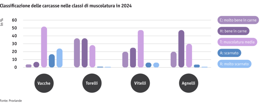 ab25_datentabelle_grafik_politik_prod_viehwirtschaft_fleischigkeitsklasse_i.png ab25_datentabelle_grafik_politik_prod_viehwirtschaft_fleischigkeitsklasse_i.png