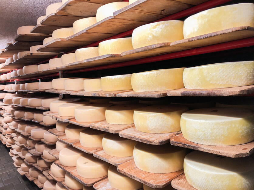 bild1_milchwirtschaft_kase_blw_multimedia-datenbank.jpg bild1_milchwirtschaft_kase_blw_multimedia-datenbank.jpg