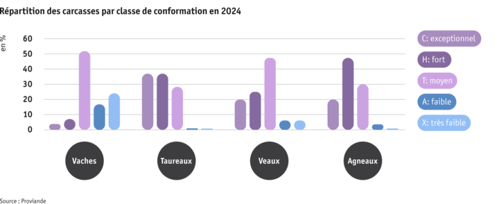 ab25_datentabelle_grafik_politik_prod_viehwirtschaft_fleischigkeitsklasse_f.png Zoom: ab25_datentabelle_grafik_politik_prod_viehwirtschaft_fleischigkeitsklasse_f.png