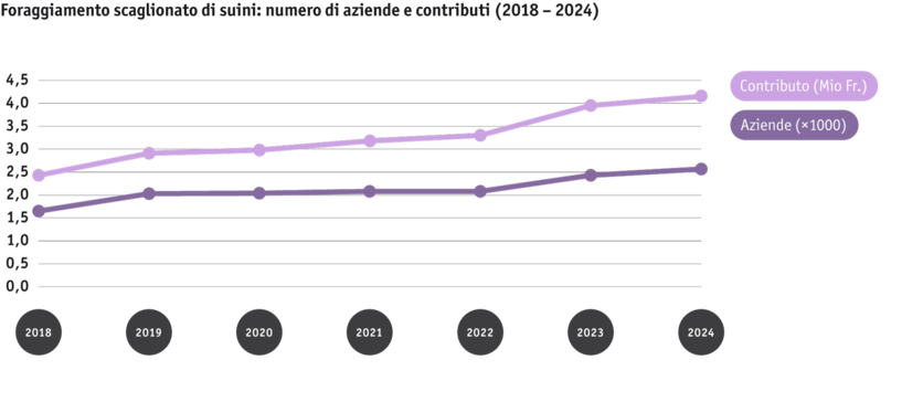 ab25-politik-dz-grafik-entwicklung-phasenfutterung-schweine-2018-bis-2024_it.png ab25-politik-dz-grafik-entwicklung-phasenfutterung-schweine-2018-bis-2024_it.png
