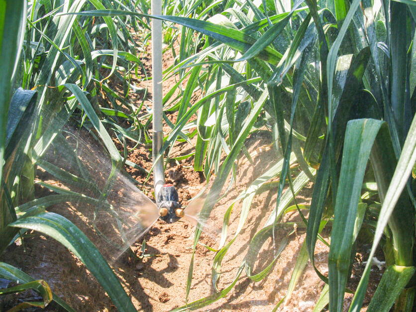 ab24_photo_reb_prazise_applikationstechnik_lauch.jpg ab24_photo_reb_prazise_applikationstechnik_lauch.jpg