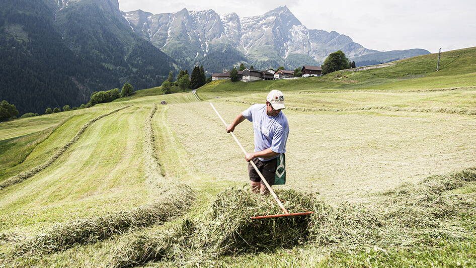 02_mensch-lebensqualitat-agroscope.jpg 02_mensch-lebensqualitat-agroscope.jpg