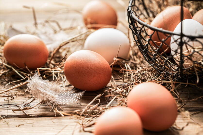 bild_2_viehwirtschaft_eier_blw_multimedia-datenbank.jpg bild_2_viehwirtschaft_eier_blw_multimedia-datenbank.jpg